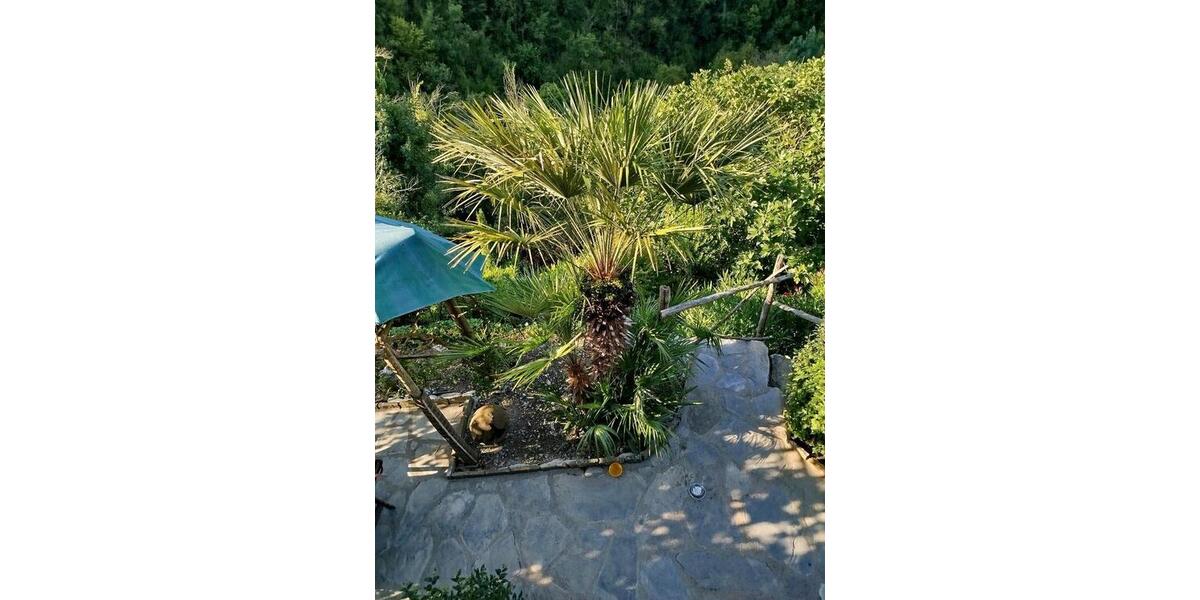 Einfamilienhaus Leipzig Mitte - 5 Zimmer, 160 m&sup2;, 345.000&euro; | Angebot:25648683