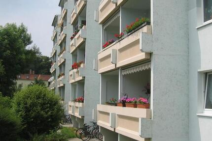 Wohnung Wurzen - 2 Zimmer, 49 m&sup2;, 295&euro; | Angebot:26195981