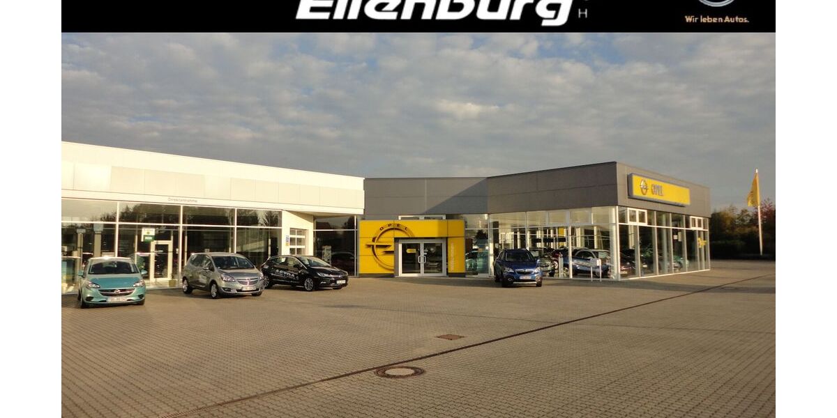 Opel Grandland (X) 15.950 km 25.980 &euro; Eilenburg 04838