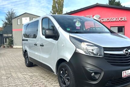 Opel Vivaro 124.563 km 19.999 € Kabelsketal/OT Großkugel 06184