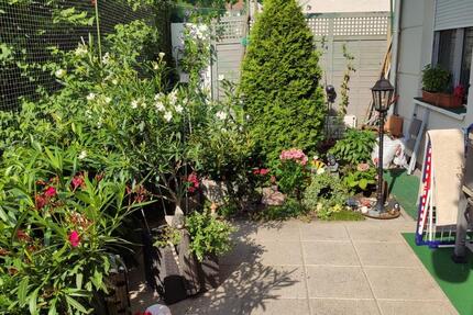 moderne 3-Zimmer-Wohnung mit großer Terrasse 3 zimmer