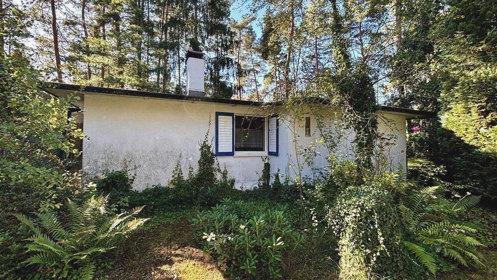 Mehrfamilienhaus, Wohnhaus Zschepplin Glaucha - 4 Zimmer, 45 m&sup2;, 54.000&euro; | Angebot:25677339