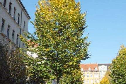 Wohnung Leipzig Nord - 5 Zimmer, 104 m&sup2;, 399.000&euro; | Angebot:25476284