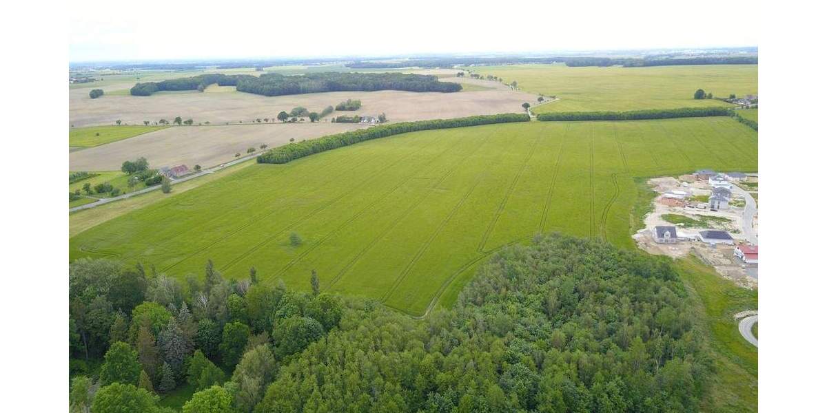 Grundstück Bad Lausick Etzoldshain - 1.603.000&euro; | Angebot:25733646