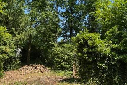 Rarität: Baulücke in Machern zimmer