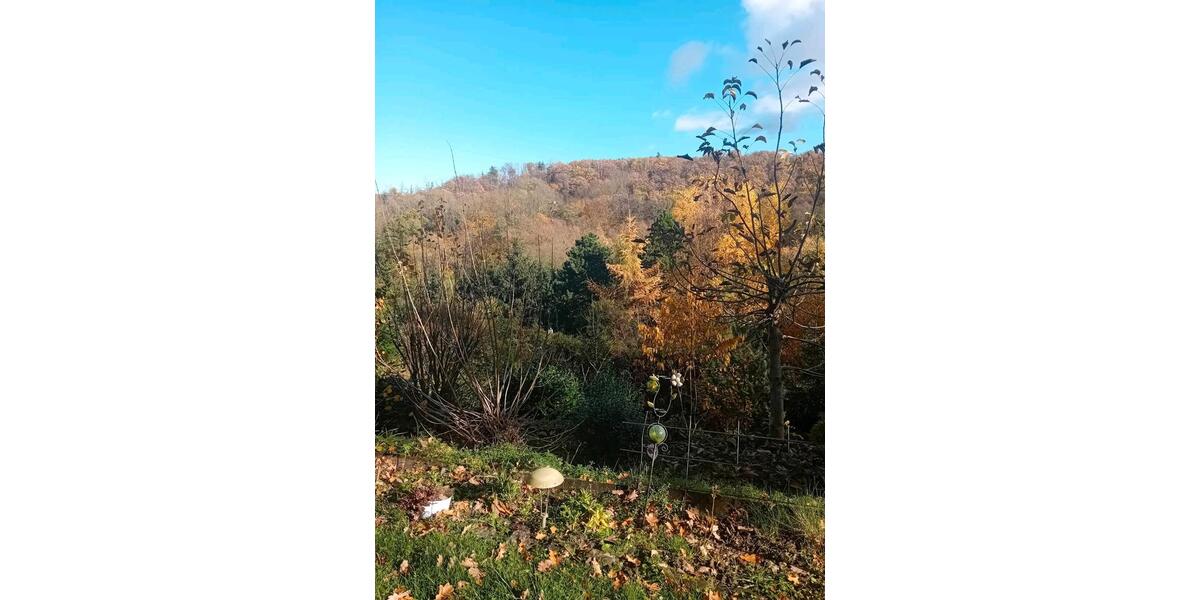 Einfamilienhaus Leipzig Nordost - 3 Zimmer, 80 m&sup2;, 50.000&euro; | Angebot:25357318