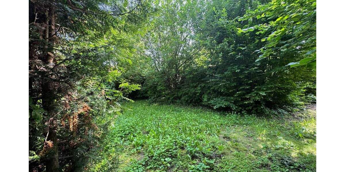 Grundstück Leipzig Liebertwolkwitz - 1.800.000&euro; | Angebot:25798266