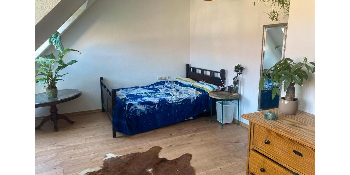 Etagenwohnung Leipzig Nordost - 2 Zimmer, 53 m&sup2;, 50&euro; | Angebot:26383935
