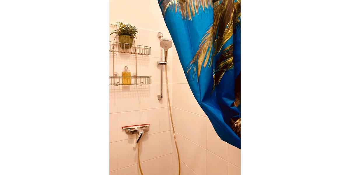 Erdgeschoßwohnung Leipzig Süd - 1 Zimmer, 30 m&sup2;, 400&euro; | Angebot:25081615