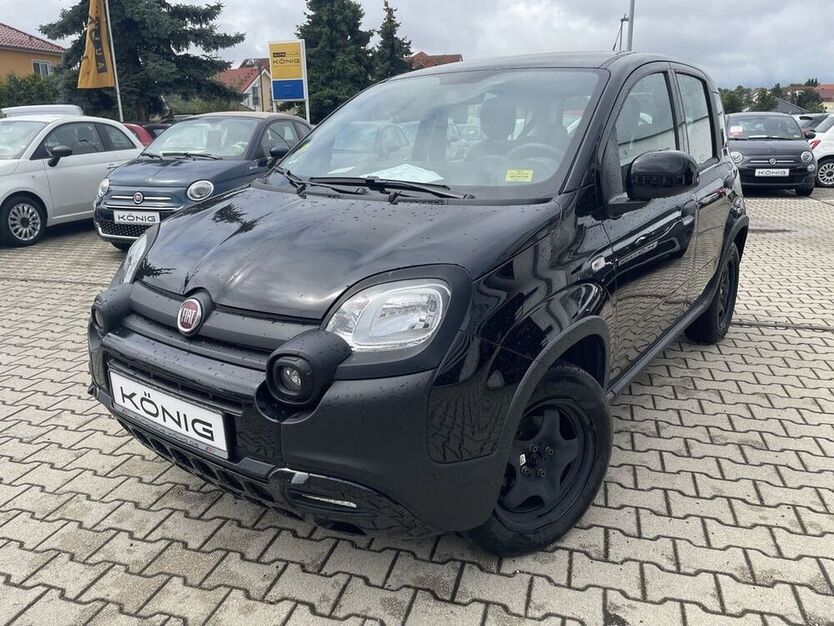 Panda