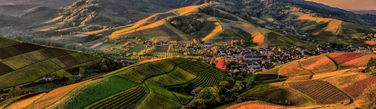 Harzdrenalin Rappbodetalsperre