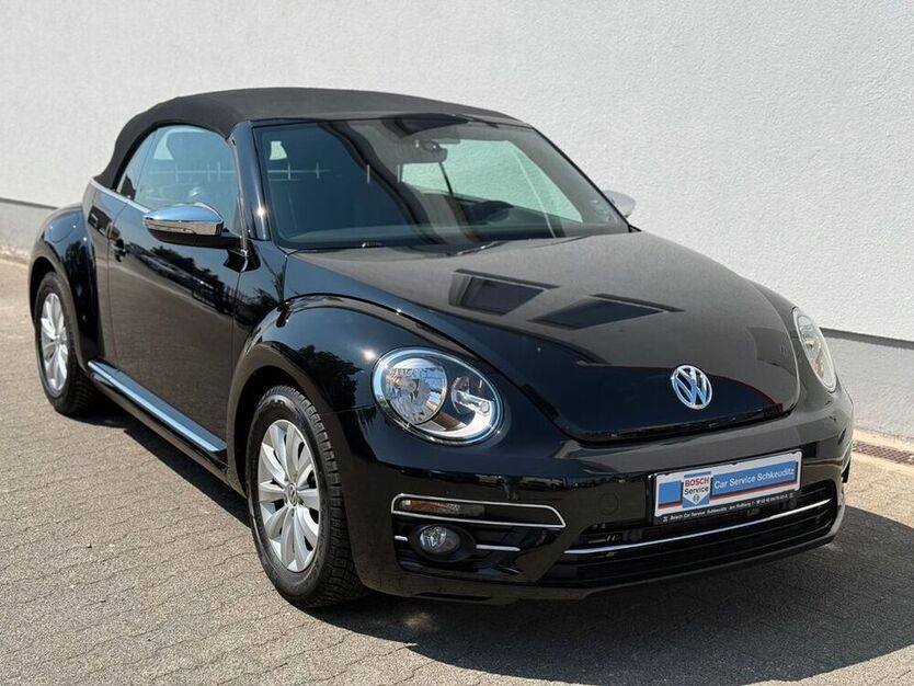 Beetle