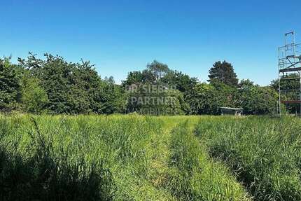 Grundstück zu verkaufen in Machern 192.000 € 1489 m² zimmer