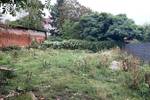Etagenwohnung Markkleeberg Markkleeberg-Mitte - 2 Zimmer, 54 m&sup2;, 599&euro; | Angebot:26487074