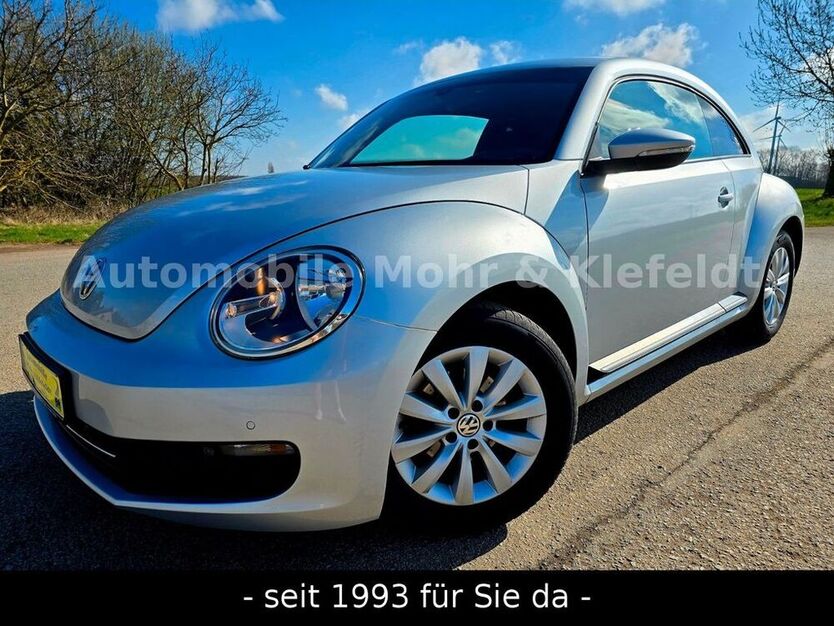 Beetle