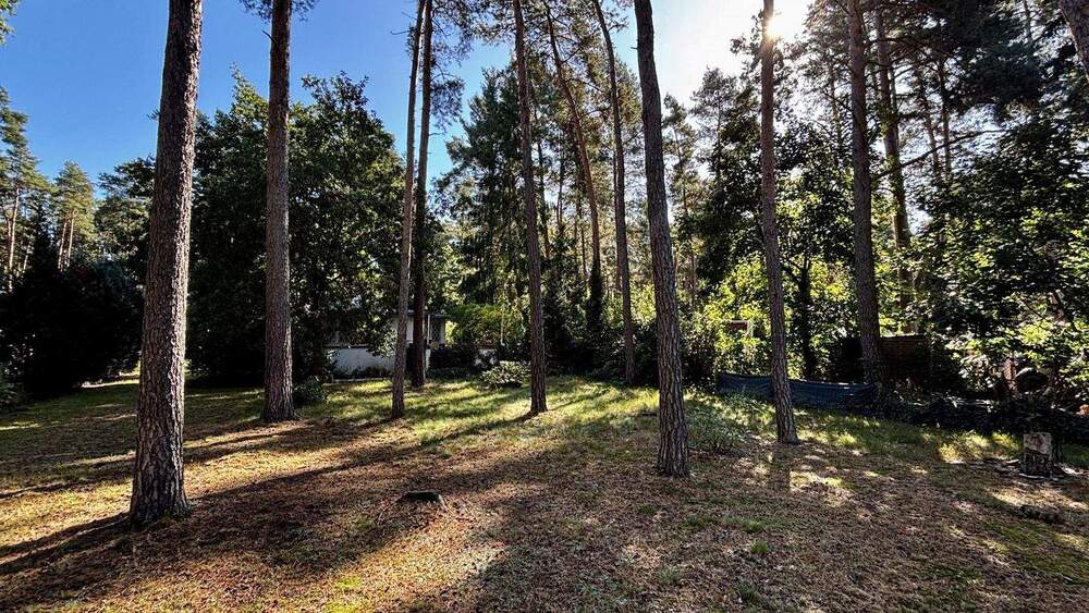 Mehrfamilienhaus, Wohnhaus Zschepplin Glaucha - 4 Zimmer, 45 m&sup2;, 54.000&euro; | Angebot:25677339