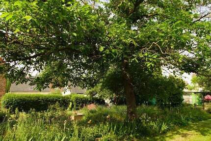 Grundstück Schkopau-Hohenweiden Hohenweiden - 99.000&euro; | Angebot:25708629