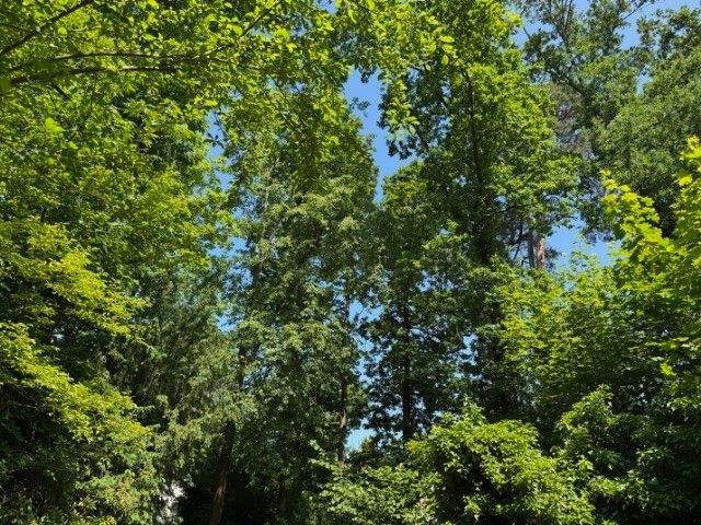 Grundstück Machern - 368.000&euro; | Angebot:25748548