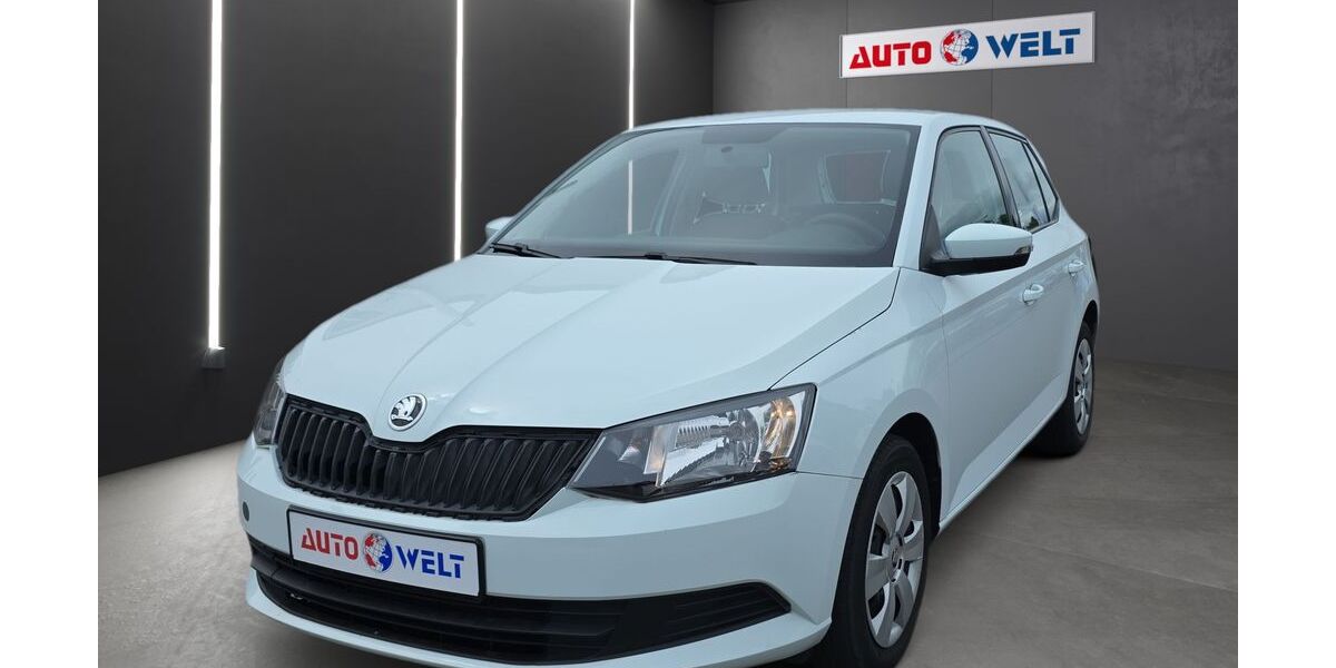 Skoda Fabia 70.588 km 7.690 &euro; Sandersdorf Brehna 06796