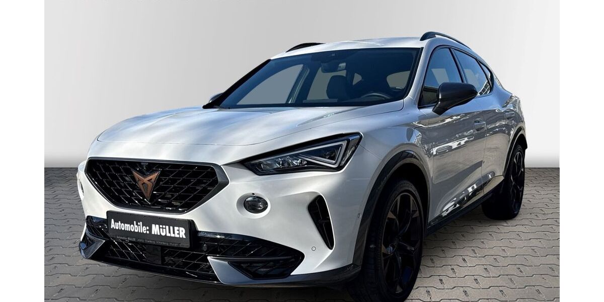 Cupra Formentor 78.058 km 22.190 &euro; Leipzig 04328