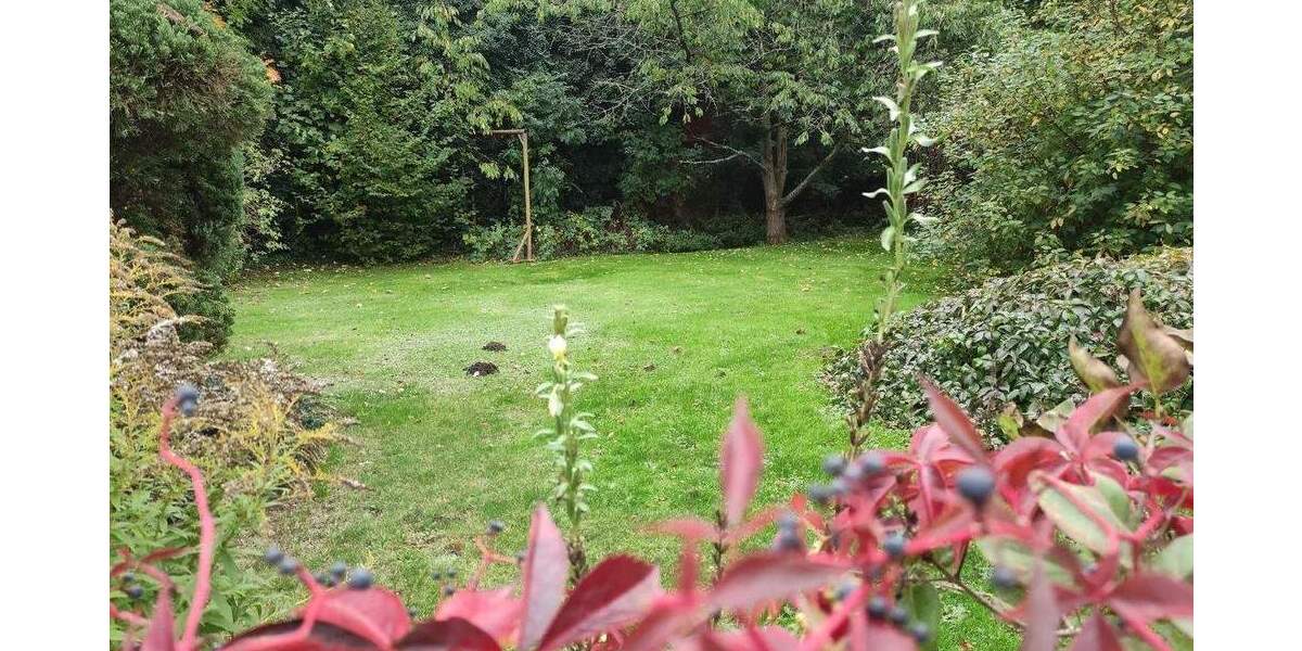 Grundstück Grimma Böhlen - 55.000&euro; | Angebot:25738692