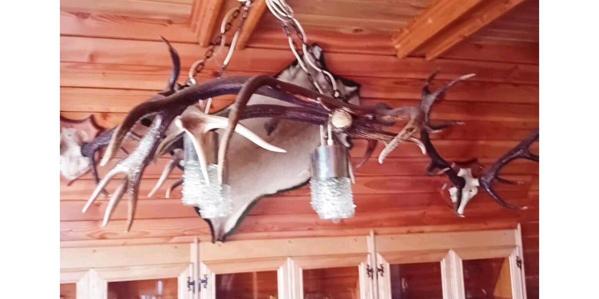 Einfamilienhaus Leipzig Nordost - 3 Zimmer, 80 m&sup2;, 50.000&euro; | Angebot:25357318