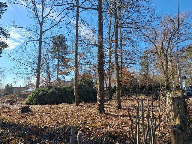 Grundstück Machern - 185.000&euro; | Angebot:25748546