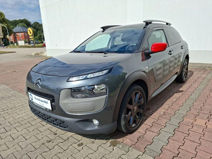 C4 Cactus