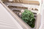 Etagenwohnung Leipzig Mitte - 4 Zimmer, 126 m&sup2;, 1.933&euro; | Angebot:26531843