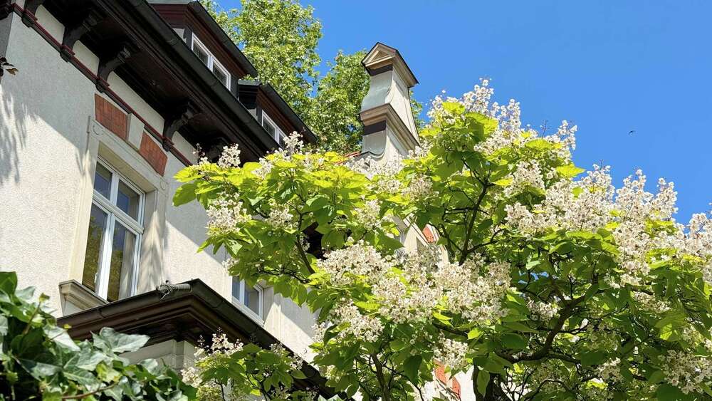 Haus zum Kaufen in Leipzig 2.895.000 € 503.53 m² 17 zimmer