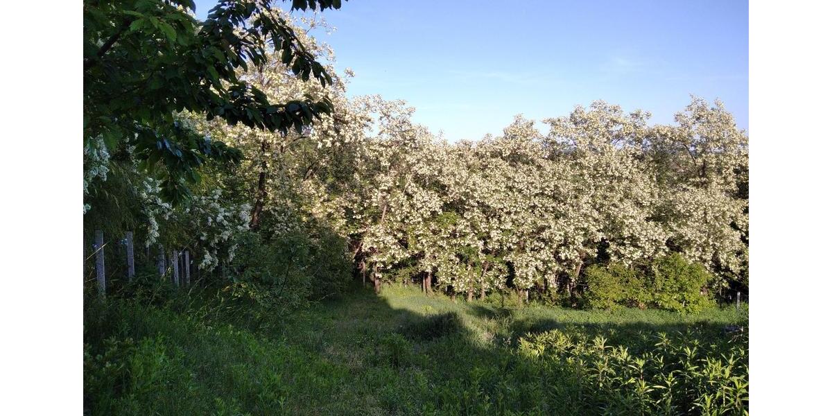 Ferienimmobilie Taucha - 449.000&euro; | Angebot:26613045