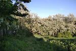 Ferienimmobilie Taucha - 449.000&euro; | Angebot:26613045