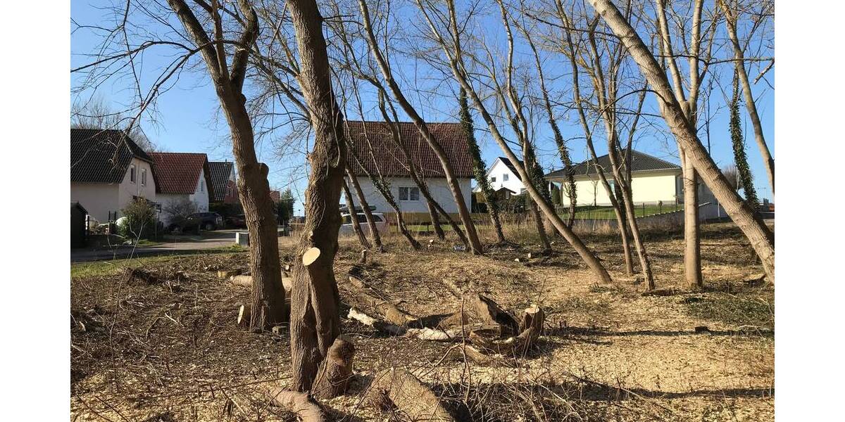 Letztes Baugrundstück in Neubausiedlung (B-Plan) von Hohenmölsen mit ca. 720 m² zimmer