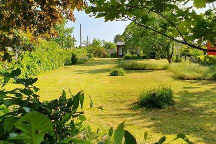 Grundstück zu verkaufen in Grimma 185.000 € 960 m² zimmer