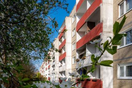 2-Raum-Wohnung am Stadtrand zimmer