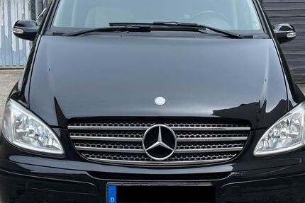 Mercedes Viano