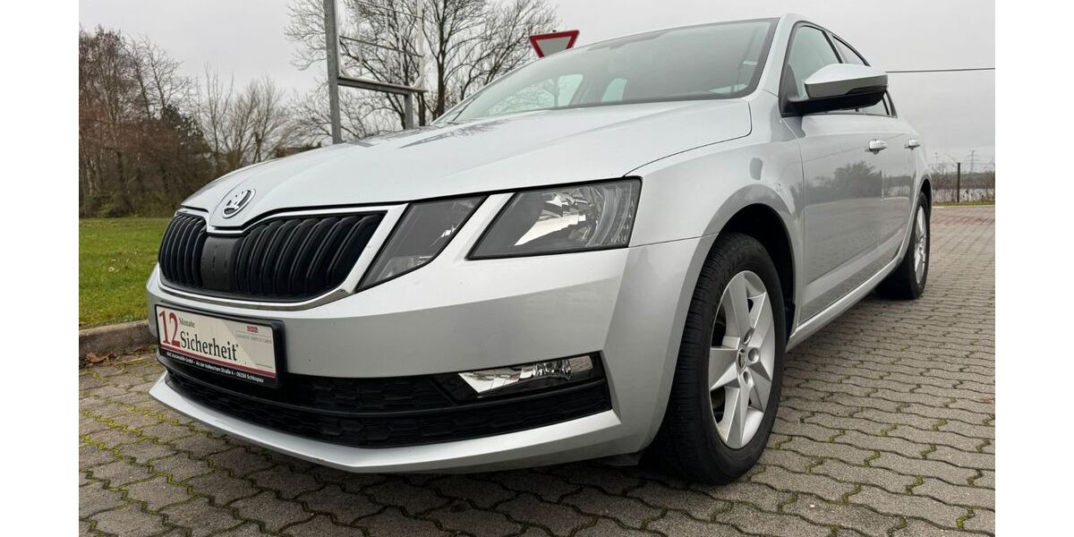 Skoda Octavia 134.730 km 12.599 &euro; Schkopau 06258