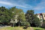 Einfamilienhaus Leipzig Schleußig - 3 Zimmer, 219.000&euro; | Angebot:25684317