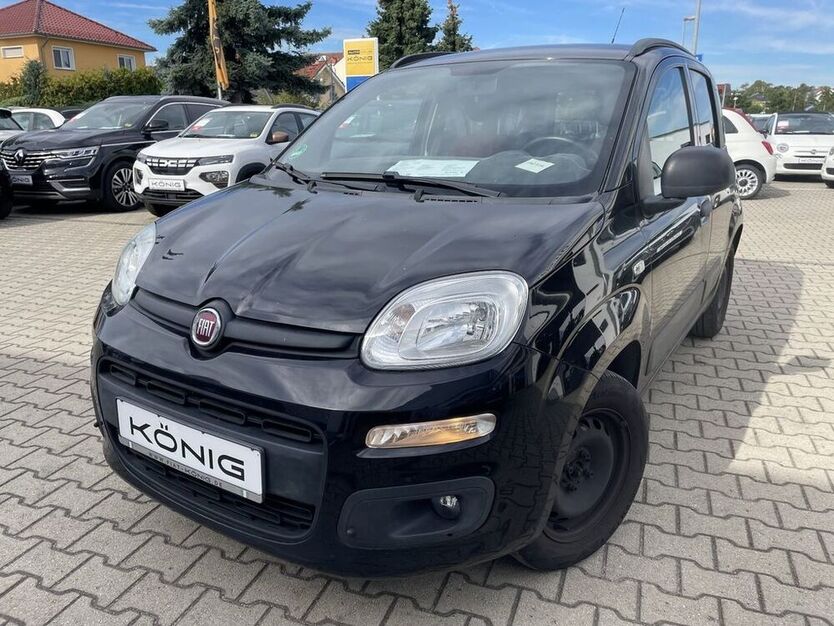 Panda