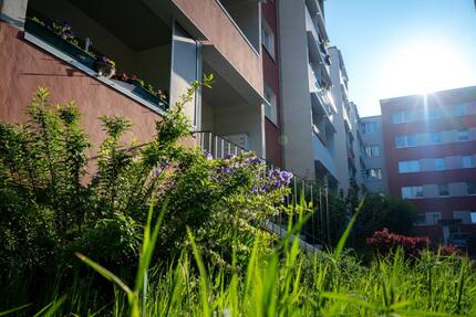 Neues Jahr! Neue Wohnung! Beziehbar ab Februar 2026 zimmer