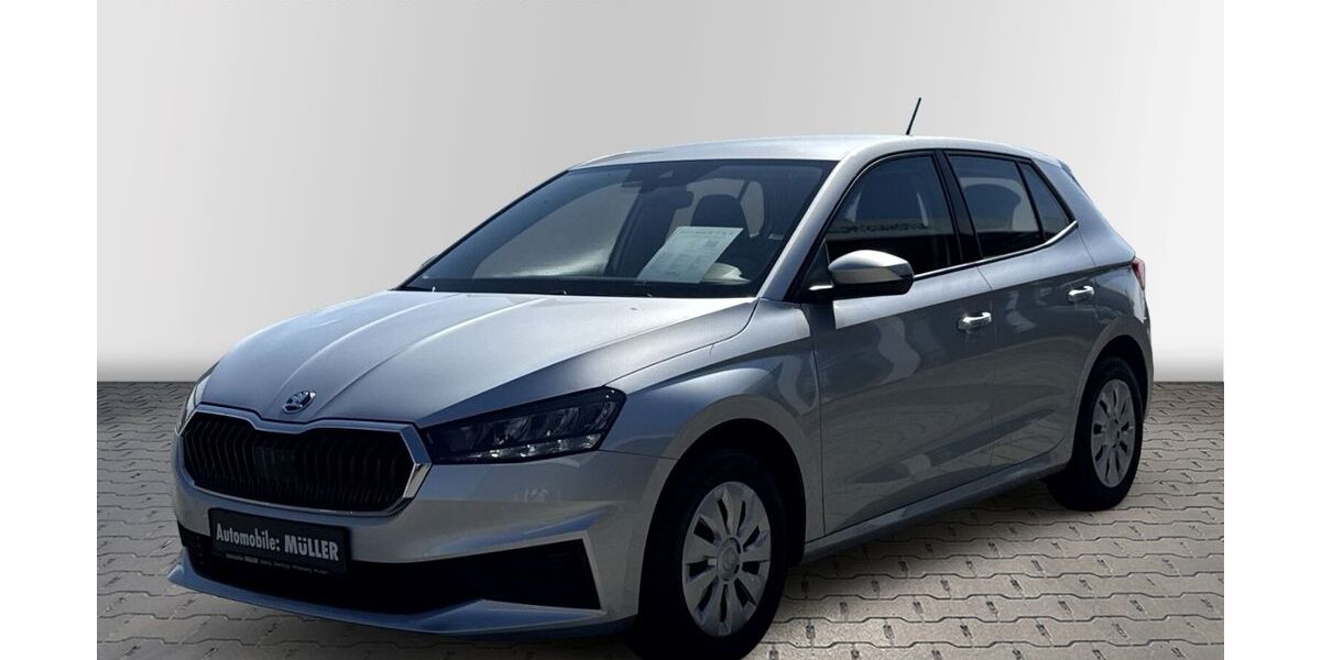 Skoda Fabia 65.087 km 12.590 &euro; Wurzen 04808