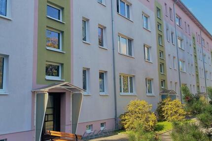 Wohnung Wurzen - 2 Zimmer, 48 m&sup2;, 295&euro; | Angebot:26299325