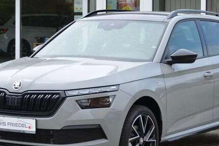 Skoda Kamiq 98.300 km 20.400 &euro; Pegau 04523