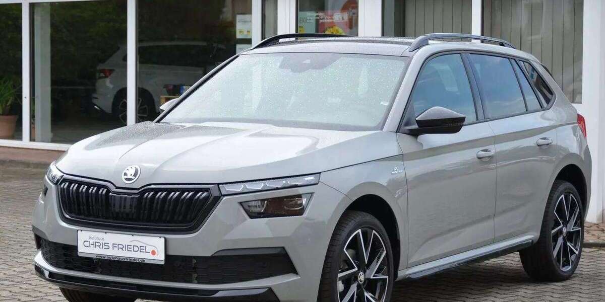 Skoda Kamiq 98.300 km 20.400 &euro; Pegau 04523