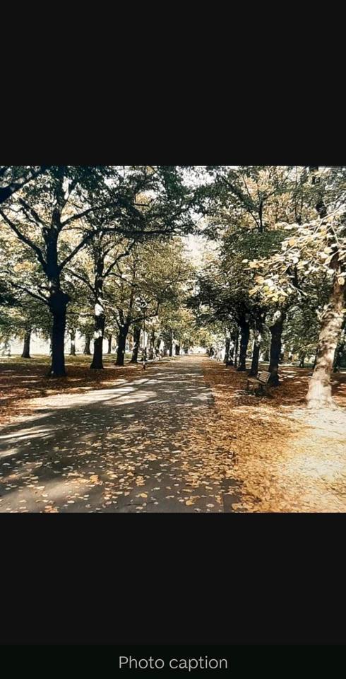 4 Zimmer Wohnung zum Verkauf in Grünau- Ost Leipzig Provisionfrei zimmer