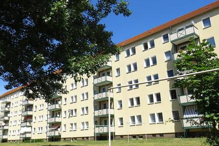 Geräumige 3-Raum Wohnung mit Balkon und Aufzug! 3 zimmer