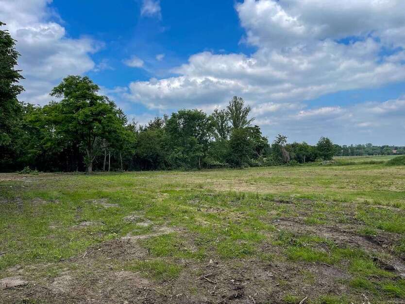 Grundstück zu verkaufen in Taucha 340.000 € 1158 m²