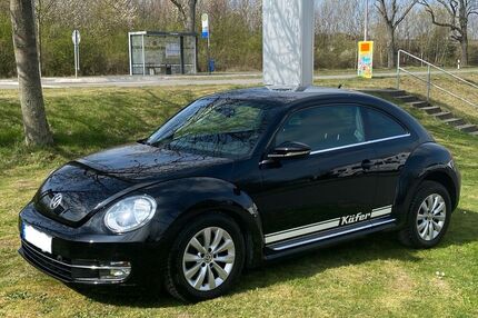 VW Beetle