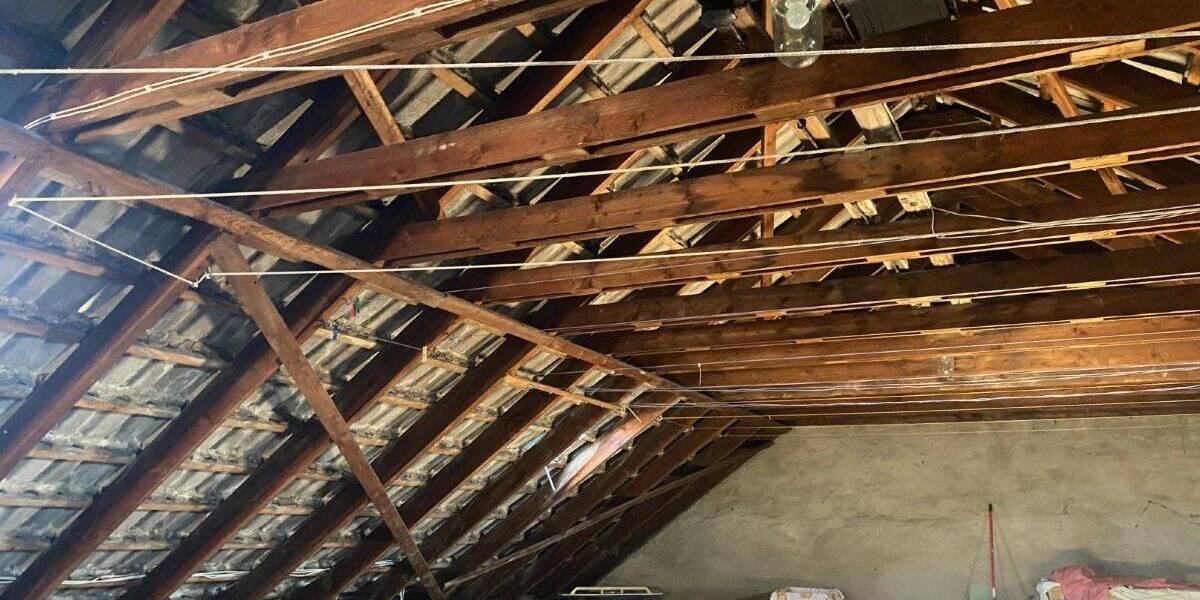Mehrfamilienhaus, Wohnhaus Bad Lausick - 1 Zimmer, 190 m&sup2;, 185.000&euro; | Angebot:26833358