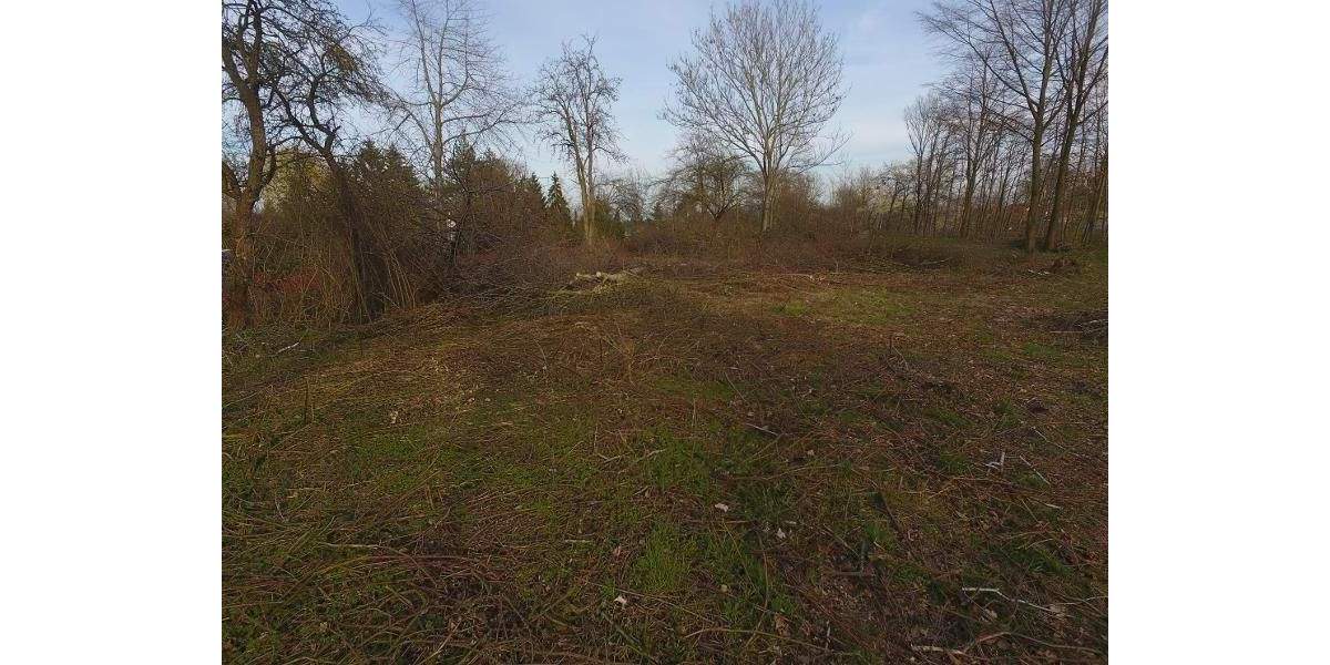 Grundstück Machern - 185.000&euro; | Angebot:25738685